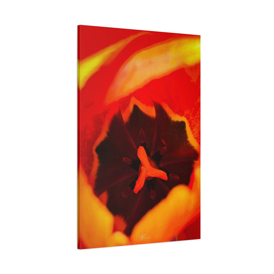 Canvas Wall Art Photo Print: Inside a beautiful orange tulip