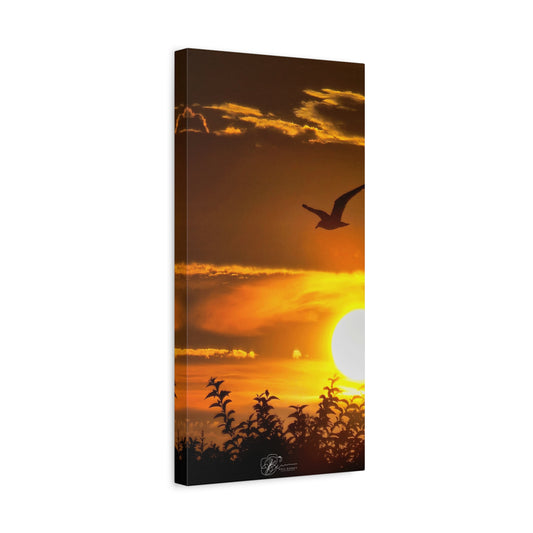 Canvas Wall Art Photo Print - Seagull Sunset