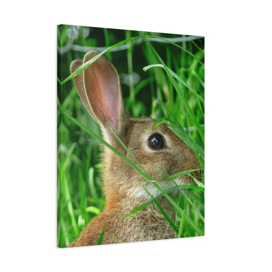 Canvas Wall Art Photo Print: 'Alert'