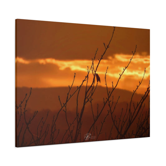 Canvas Wall Art Photo Print - Last Autumn Leaf